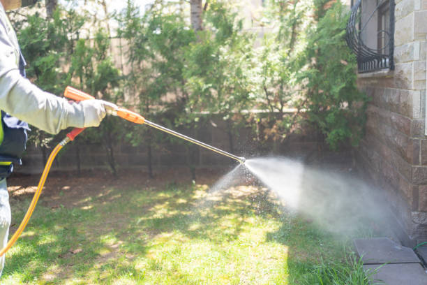 Best Pest Control Near Me in Lake Mohawk, OH
